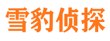 井冈山市婚姻调查